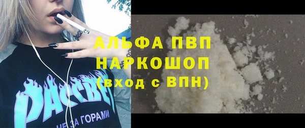 прущий лед Новозыбков
