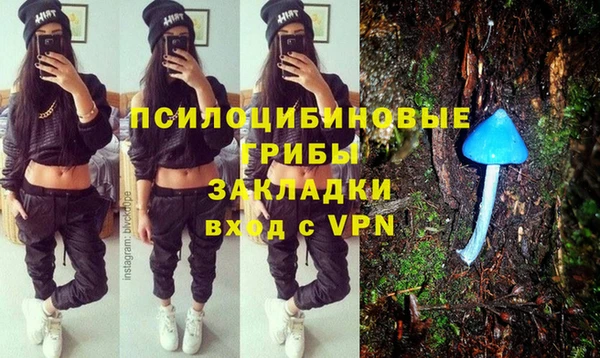 прущий лед Новозыбков