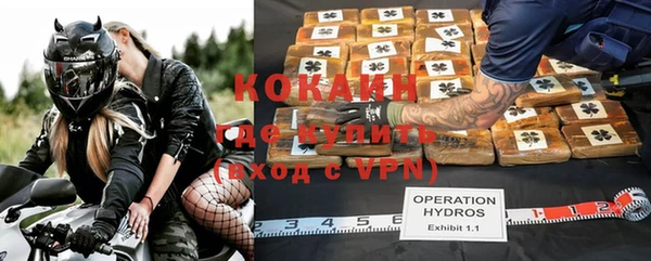 крисы Билибино