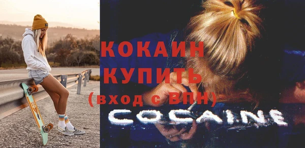 прущий лед Новозыбков