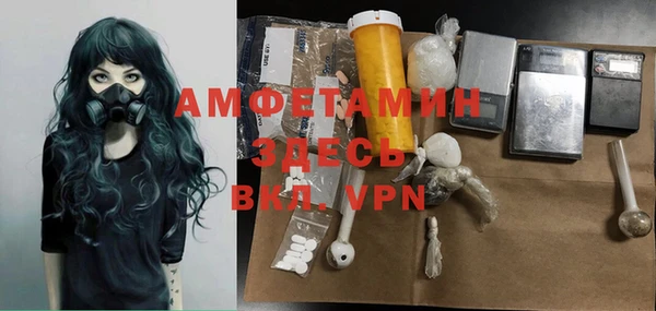 прущий лед Новозыбков