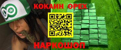 индика Аргун