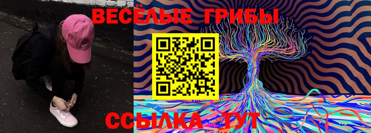 Клин  Галлюциногенные грибы GOLDEN TEACHER  Вход с VPN 