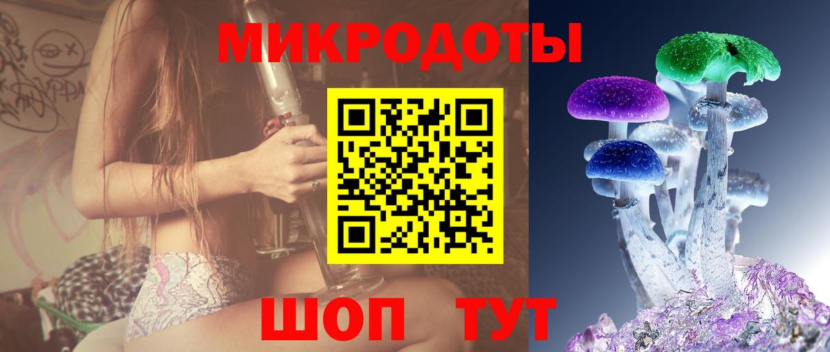 Галлюциногенные грибы Psilocybe Клин